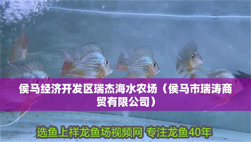 侯馬經濟開發區瑞杰海水農場（侯馬市瑞濤商貿有限公司）