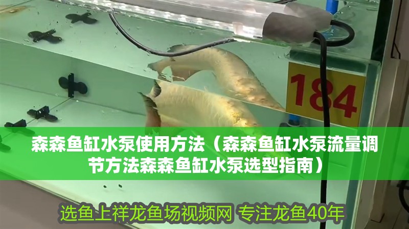 森森魚缸水泵使用方法（森森魚缸水泵流量調節方法森森魚缸水泵選型指南）
