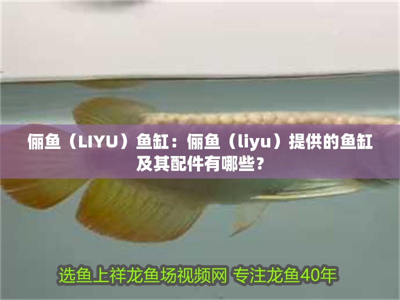 儷魚（LIYU）魚缸：儷魚（liyu）提供的魚缸及其配件有哪些？