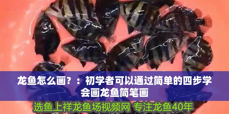 龍魚怎么畫？：初學者可以通過簡單的四步學會畫龍魚簡筆畫