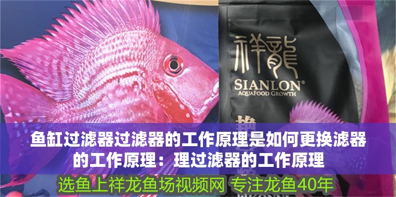 魚缸過濾器過濾器的工作原理是如何更換濾器的工作原理：理過濾器的工作原理