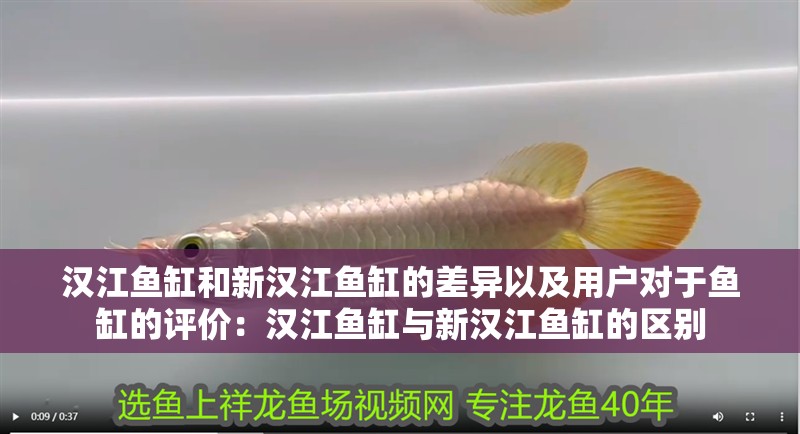 漢江魚缸和新漢江魚缸的差異以及用戶對(duì)于魚缸的評(píng)價(jià)：漢江魚缸與新漢江魚缸的區(qū)別