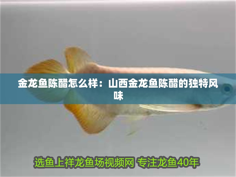 金龍魚陳醋怎么樣：山西金龍魚陳醋的獨特風(fēng)味