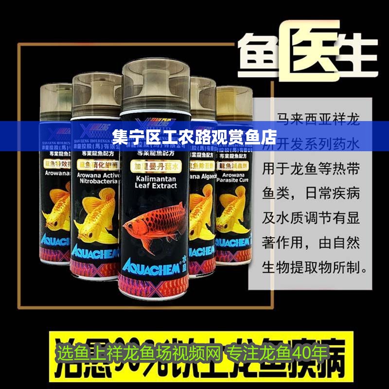 集寧區(qū)工農(nóng)路觀賞魚(yú)店