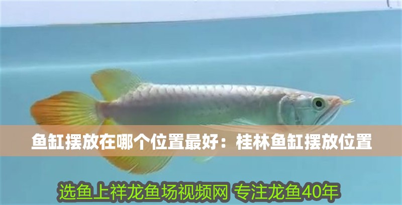 魚缸擺放在哪個位置最好：桂林魚缸擺放位置