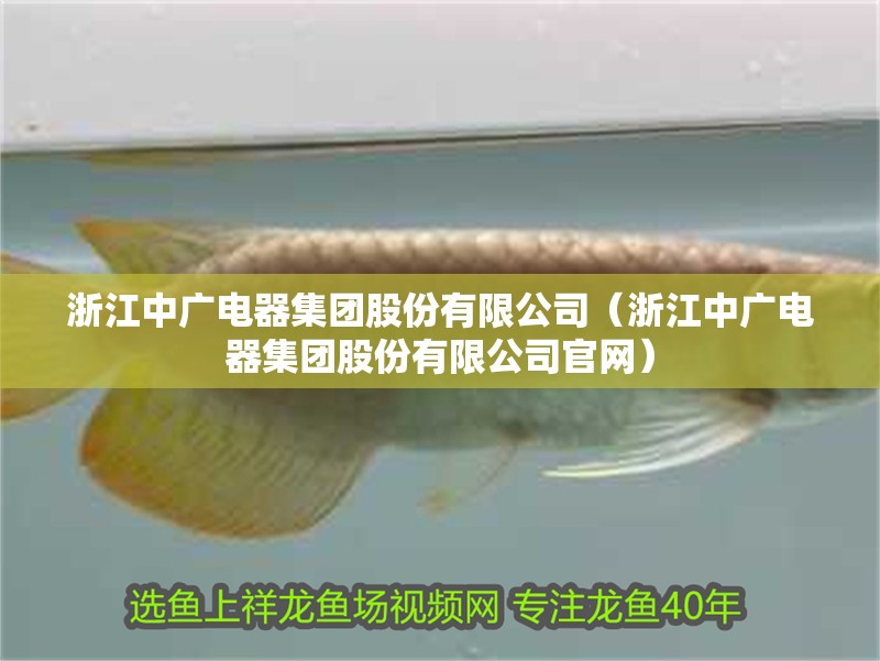 浙江中廣電器集團(tuán)股份有限公司（浙江中廣電器集團(tuán)股份有限公司官網(wǎng)）