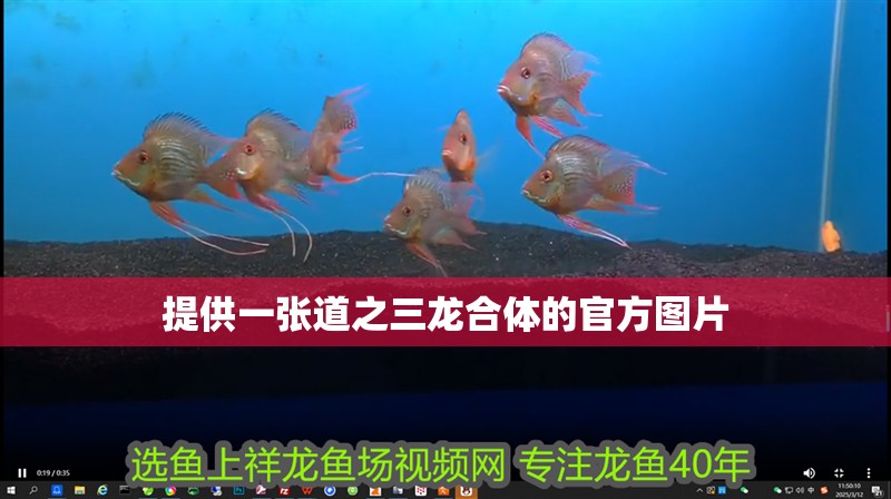 提供一張道之三龍合體的官方圖片