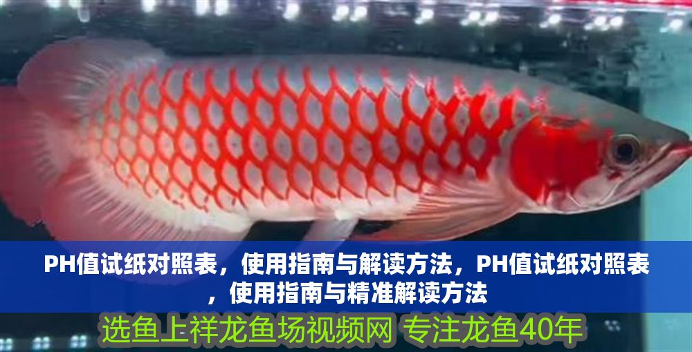 PH值試紙對照表，使用指南與解讀方法，PH值試紙對照表，使用指南與精準解讀方法