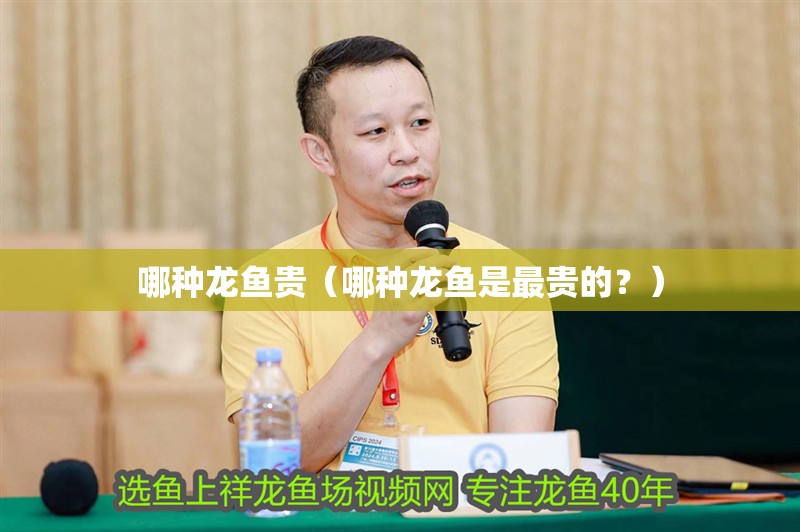 哪種龍魚貴（哪種龍魚是最貴的？）