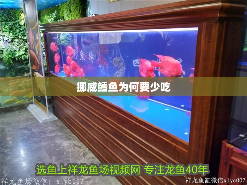 挪威鱈魚為何要少吃