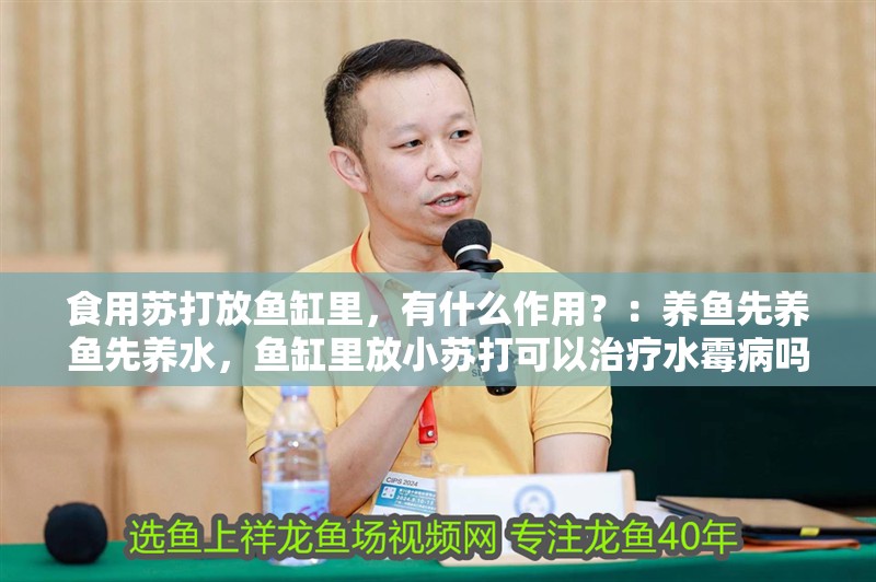 食用蘇打放魚缸里，有什么作用？：養魚先養魚先養水，魚缸里放小蘇打可以治療水霉病嗎