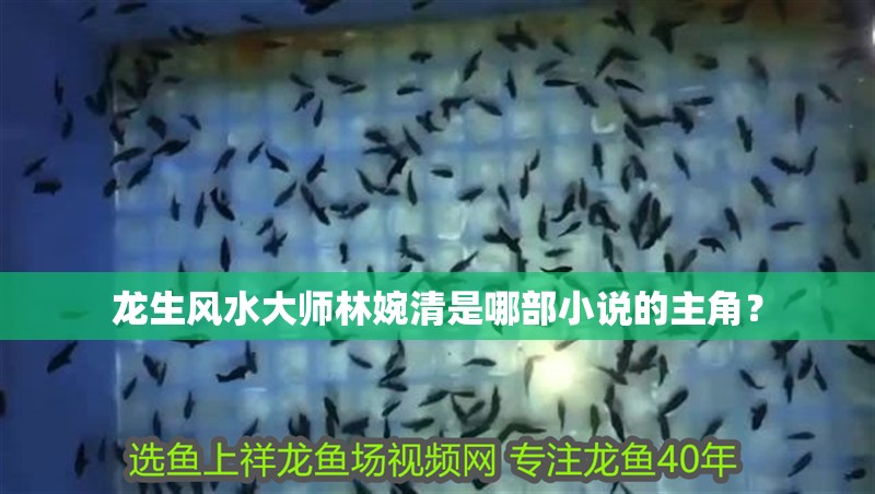 龍生風(fēng)水大師林婉清是哪部小說的主角？