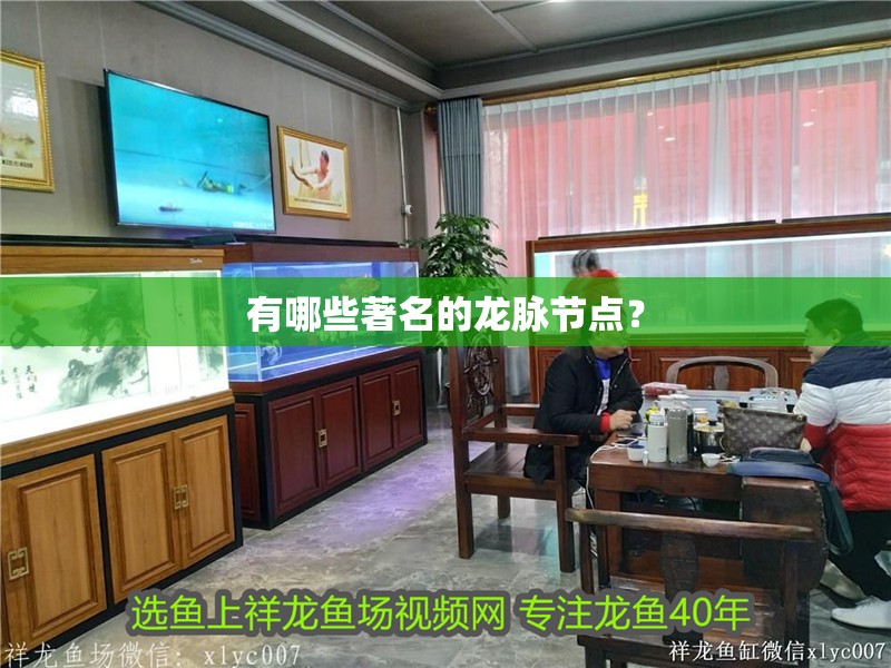 有哪些著名的龍脈節點？