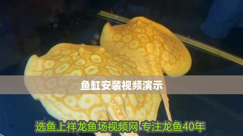 魚缸安裝視頻演示