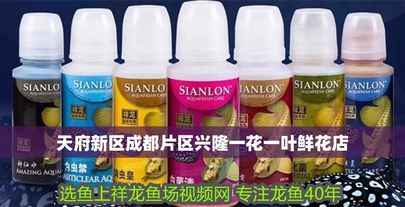 天府新區<strong><mark>成都</mark></strong>片區興隆一花一葉鮮花店