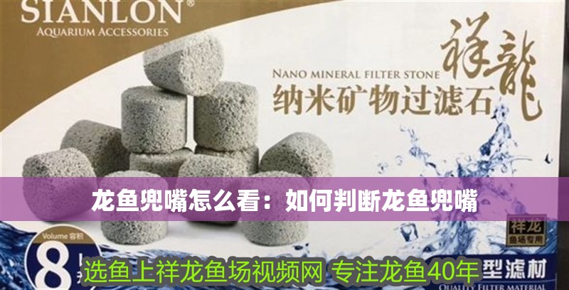 龍魚兜嘴怎么看：如何判斷龍魚兜嘴