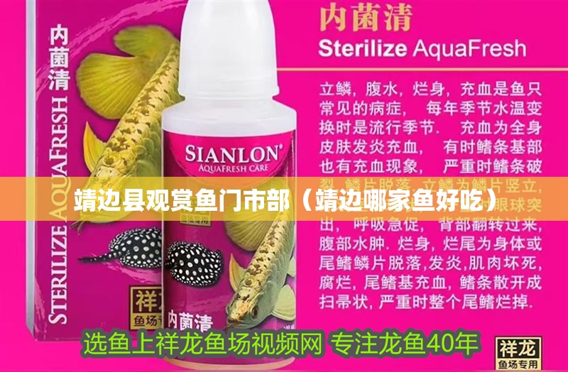 靖邊縣觀賞魚門市部（靖邊哪家魚好吃）