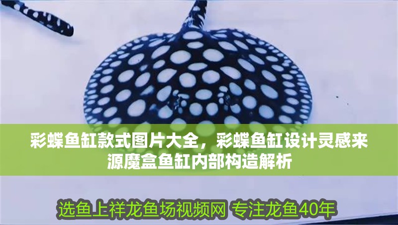 彩蝶魚缸款式圖片大全，彩蝶魚缸設計靈感來源魔盒魚缸內部構造解析