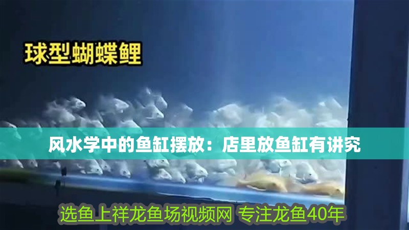 風水學中的魚缸擺放：店里放魚缸有講究