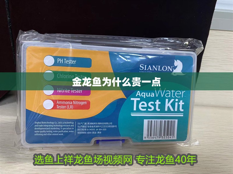 金龍魚為什么貴一點