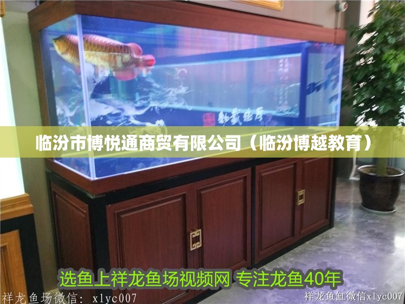 臨汾市博悅通商貿有限公司（臨汾博越教育）