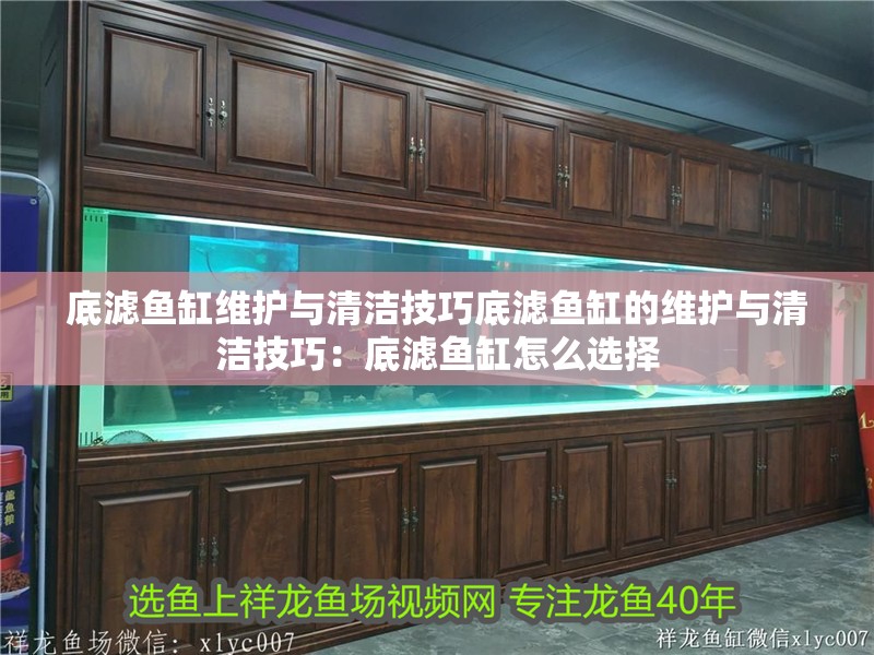 底濾魚缸維護(hù)與清潔技巧底濾魚缸的維護(hù)與清潔技巧：底濾魚缸怎么選擇