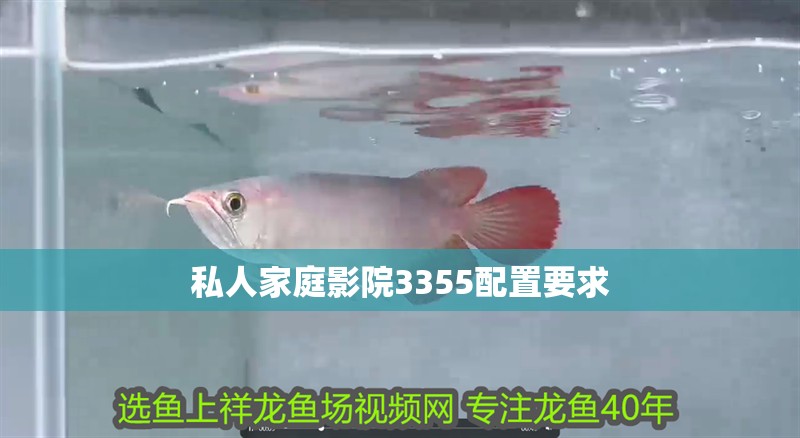 私人家庭影院3355配置要求