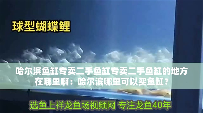 哈爾濱魚缸專賣二手魚缸專賣二手魚缸的地方在哪里啊：哈爾濱哪里可以買魚缸？