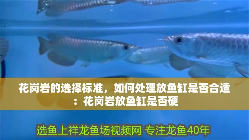 魚缸用增氧泵價格是多少:魚缸增氧機-xtrac增氧機-xtrac增氧機 花崗巖的選擇標準,如何處理放魚缸是否合適:花崗巖放魚缸是否硬 魚缸百科 花崗巖的選擇標準,如何處理放魚缸是否合適:花崗巖放魚缸是否硬 花崗巖的選擇標準,如何處理放魚缸是否合適:花崗巖放魚缸是否硬 魚缸百科