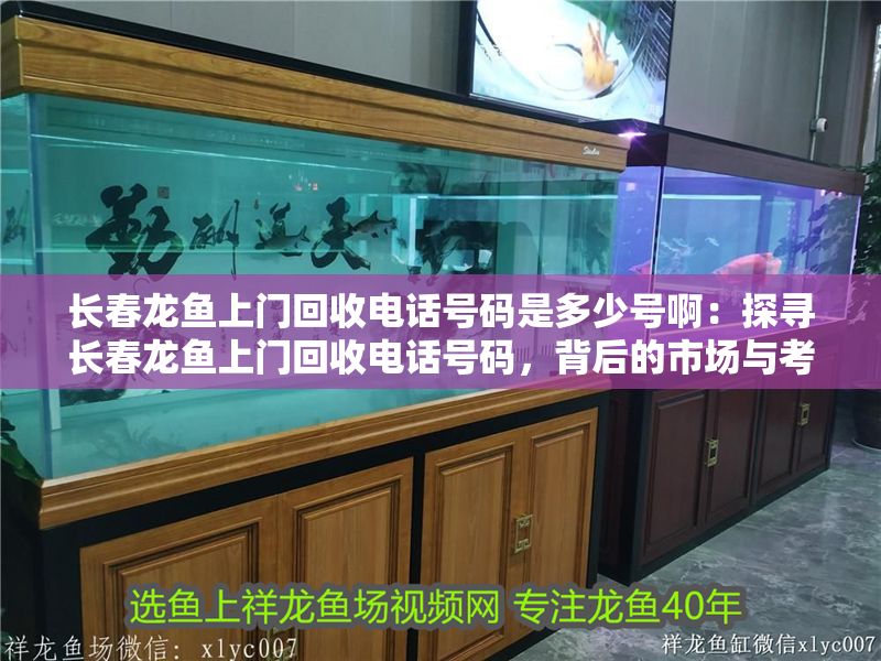 長春龍魚上門回收電話號碼是多少號啊：探尋長春龍魚上門回收電話號碼，背后的市場與考量