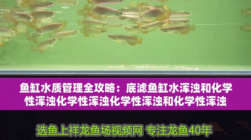 魚缸水質管理全攻略：底濾魚缸水渾濁和化學性渾濁化學性渾濁化學性渾濁和化學性渾濁