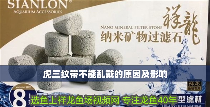 虎三紋帶不能亂戴的原因及影響