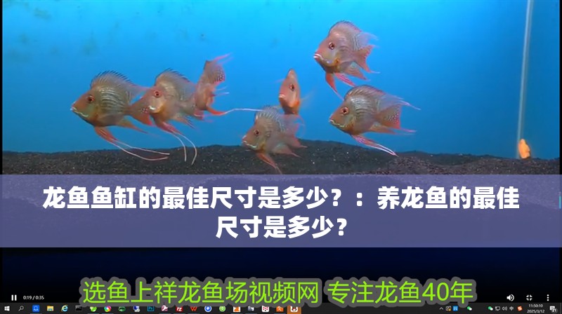 龍魚魚缸的最佳尺寸是多少？：養龍魚的最佳尺寸是多少？ 龍魚魚缸的最佳尺寸是多少？：養龍魚的最佳尺寸是多少？ 魚缸百科