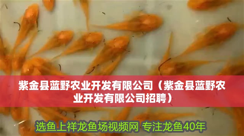 紫金縣藍野農業開發有限公司（紫金縣藍野農業開發有限公司招聘）