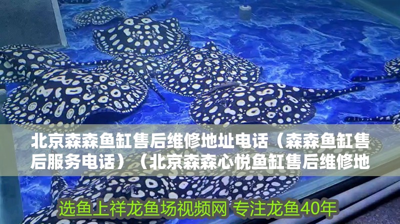 北京森森魚缸售后維修地址電話（森森魚缸售后服務(wù)電話）（北京森森心悅魚缸售后維修地址電話）