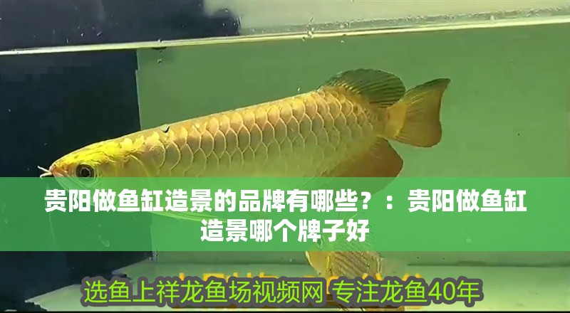 貴陽做魚缸造景的品牌有哪些？：貴陽做魚缸造景哪個牌子好
