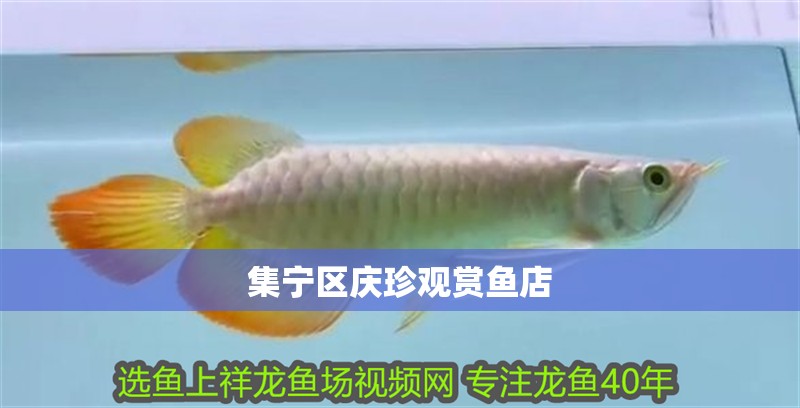 集寧區慶珍觀賞魚店