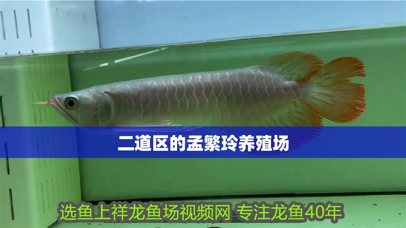 二道區的孟繁玲養殖場