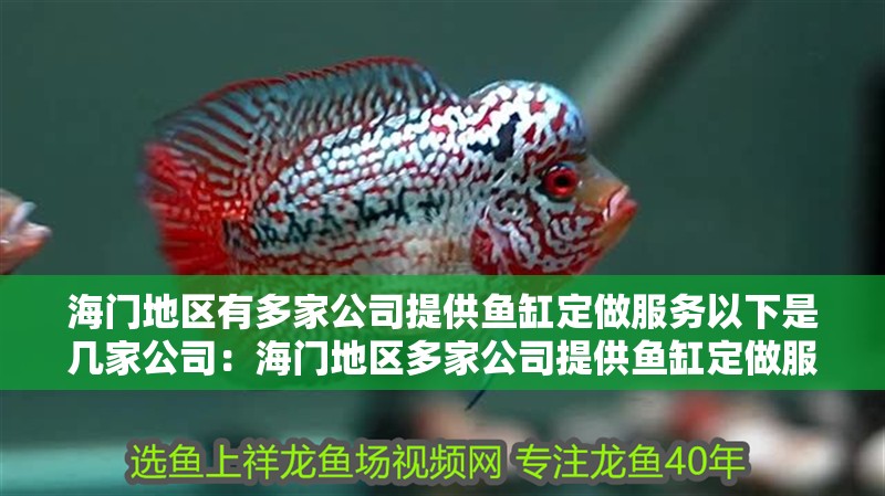 海門地區(qū)有多家公司提供魚缸定做服務(wù)以下是幾家公司：海門地區(qū)多家公司提供魚缸定做服務(wù)以下是幾家公司