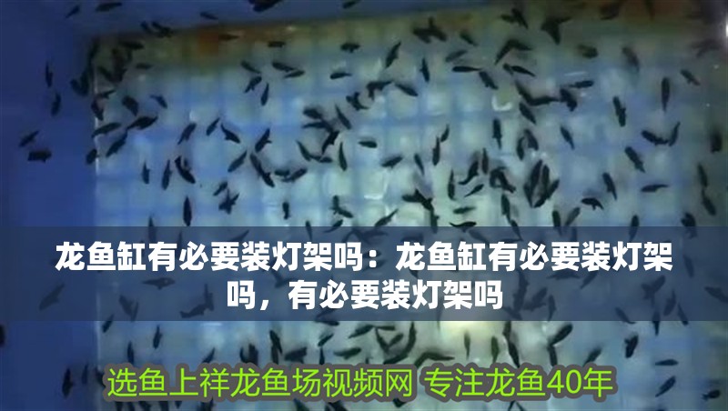 龍魚缸有必要裝燈架嗎：龍魚缸有必要裝燈架嗎，有必要裝燈架嗎
