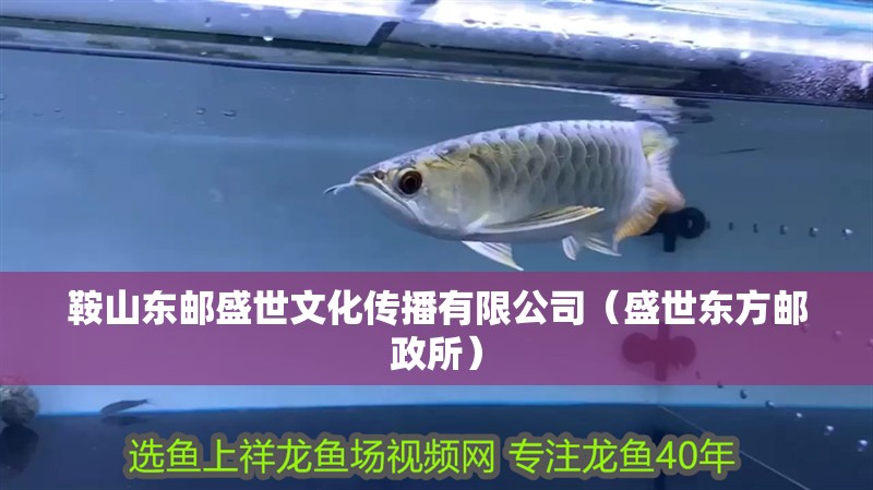 鞍山東郵盛世文化傳播有限公司（盛世東方郵政所）