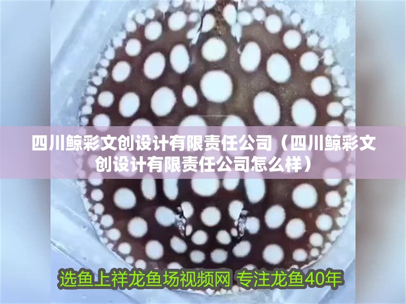 四川鯨彩文創(chuàng)設(shè)計(jì)有限責(zé)任公司（四川鯨彩文創(chuàng)設(shè)計(jì)有限責(zé)任公司怎么樣）