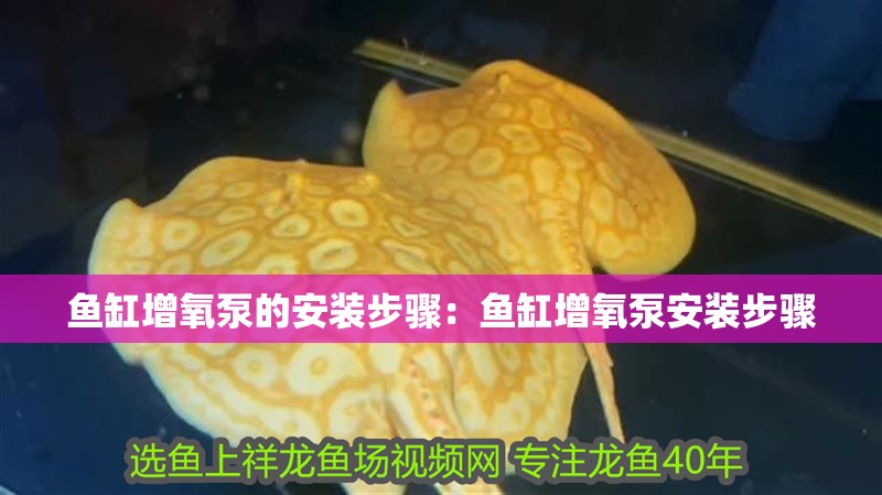魚缸增氧泵的安裝步驟：魚缸增氧泵安裝步驟