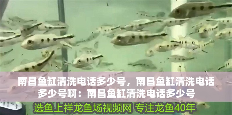 南昌魚缸清洗電話多少號，南昌魚缸清洗電話多少號啊：南昌魚缸清洗電話多少號