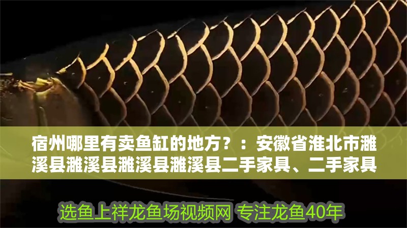宿州哪里有賣魚缸的地方？：安徽省淮北市<strong><mark>濉溪</mark></strong>縣<strong><mark>濉溪</mark></strong>縣<strong><mark>濉溪</mark></strong>縣<strong><mark>濉溪</mark></strong>縣二手家具、二手家具