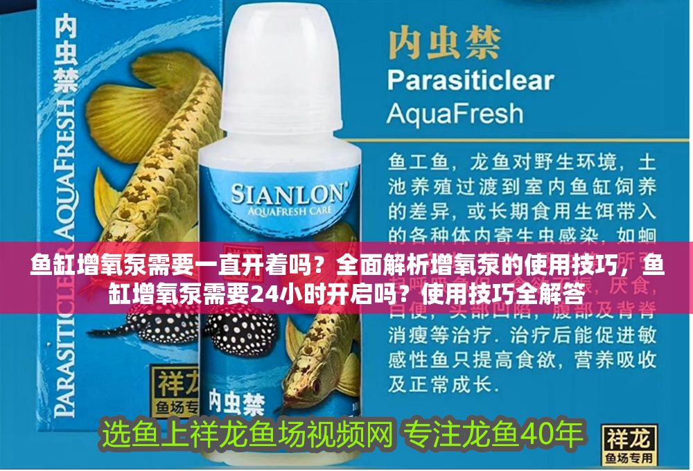 魚缸增氧泵需要一直開著嗎？全面解析增氧泵的使用技巧，魚缸增氧泵需要24小時開啟嗎？使用技巧全解答