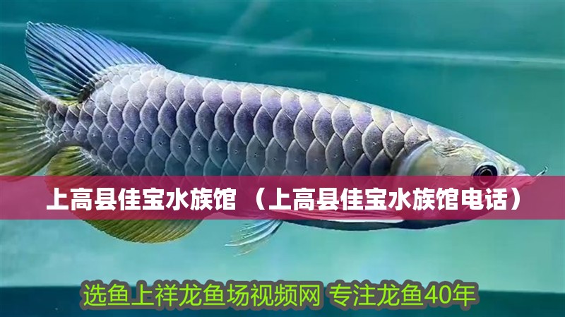 上高縣佳寶水族館 （上高縣佳寶水族館電話）