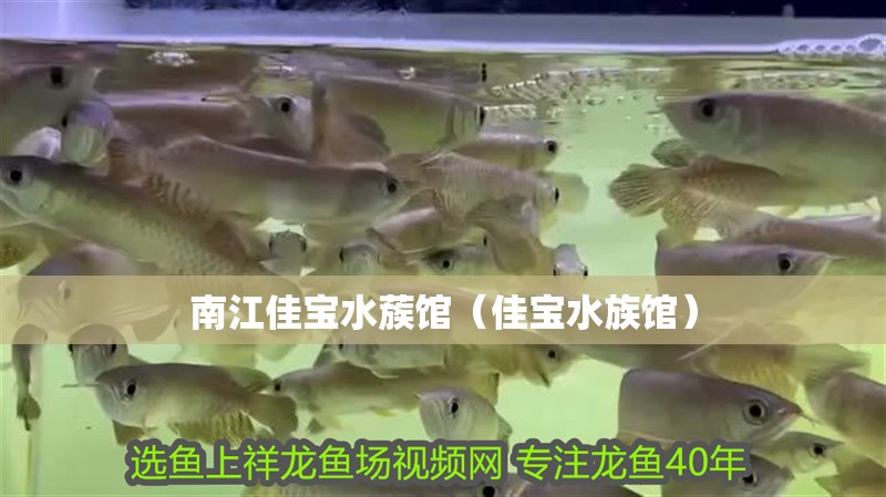 南江佳寶水蔟館（佳寶水族館）