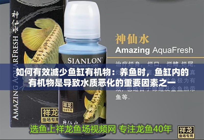如何有效減少魚缸有機物：養(yǎng)魚時，魚缸內(nèi)的有機物是導致水質(zhì)惡化的重要因素之一