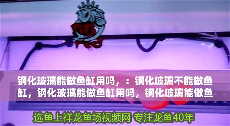 鋼化玻璃能做魚缸用嗎，：鋼化玻璃不能做魚缸，鋼化玻璃能做魚缸用嗎，鋼化玻璃能做魚缸嗎